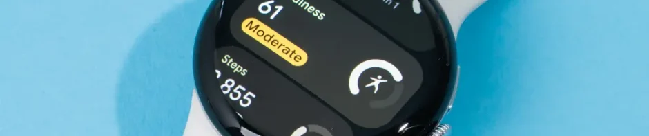 The Smartwatch Dilemma