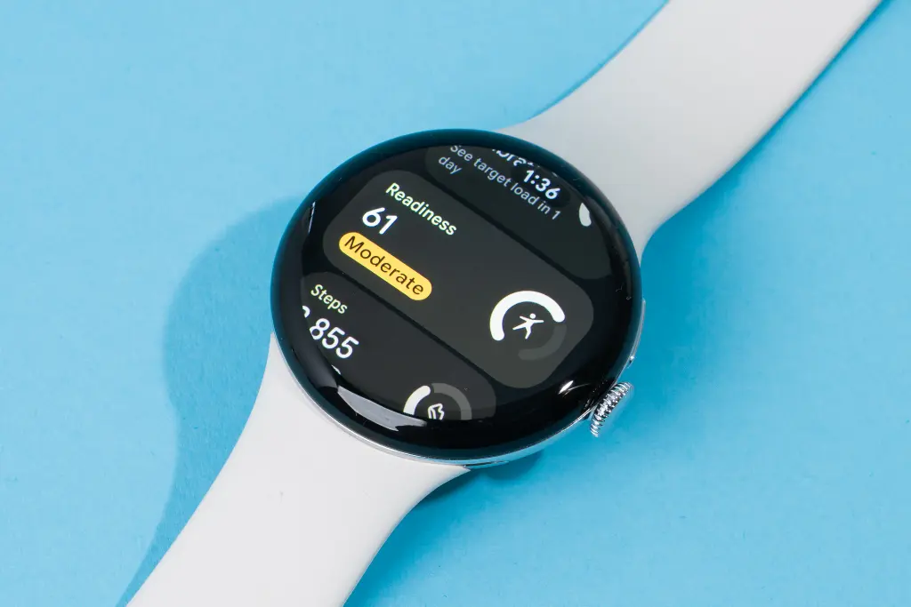 The Smartwatch Dilemma
